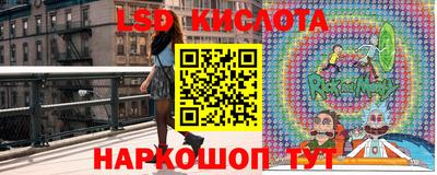прущие грибы Коммунар